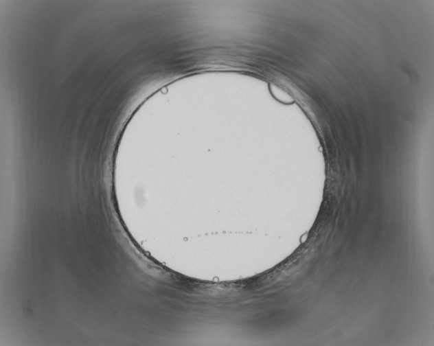 X0000111211195200908121125