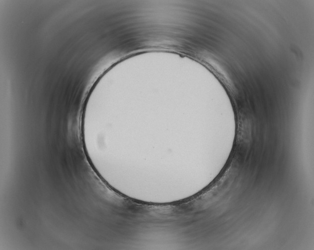 X0000111211196200908121125