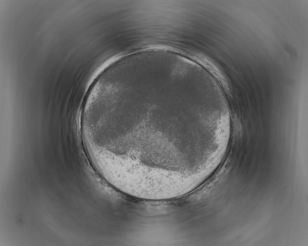 X0000111211198200908121125