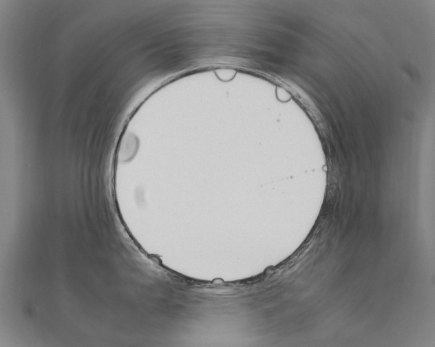 X0000111211199200908121125