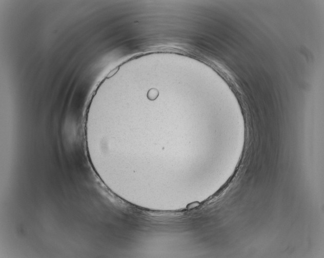 X0000111211200200908121125