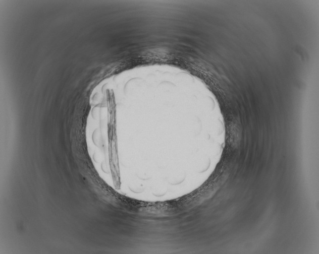 X0000111211201200908121124