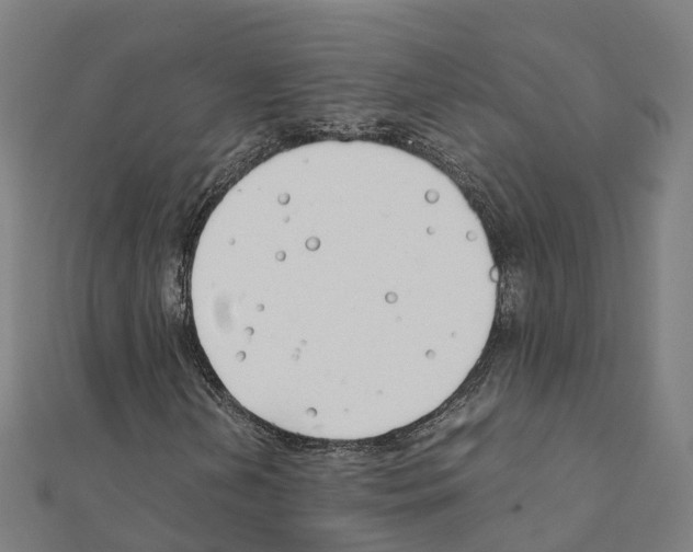 X0000111211202200908121124