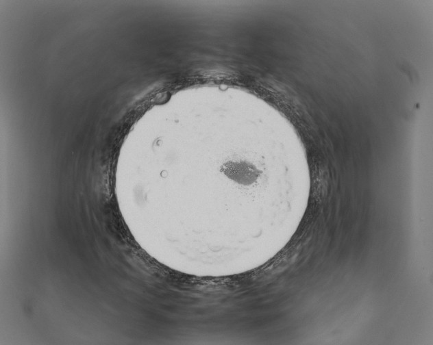 X0000111211205200908121124