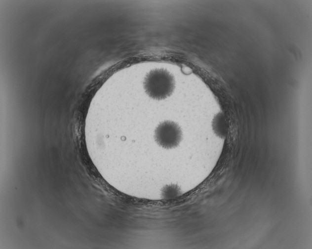 X0000111211206200908121124