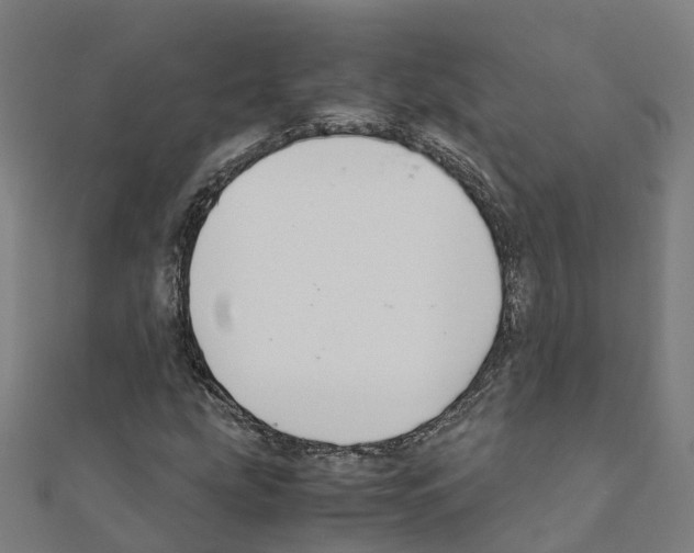 X0000111211207200908121124