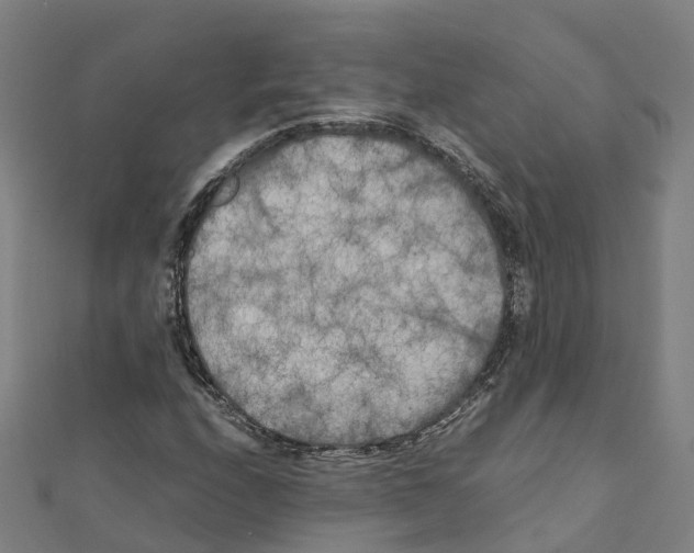 X0000111211208200908121125