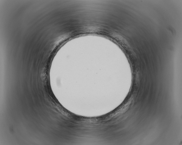 X0000111211210200908121125