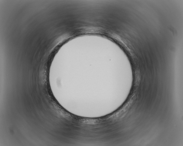 X0000111211211200908121125