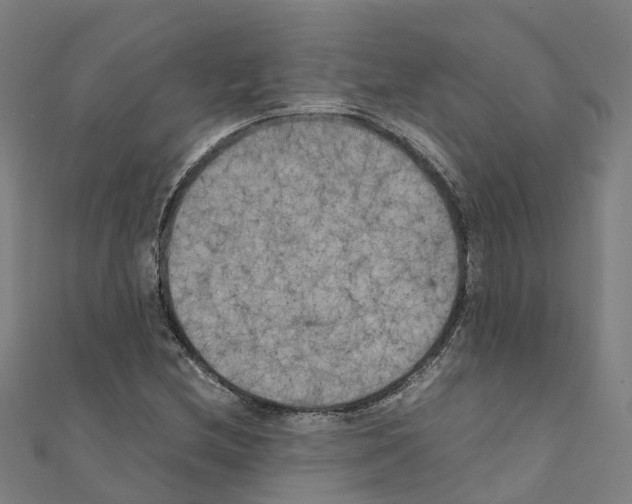 X0000111211212200908121125