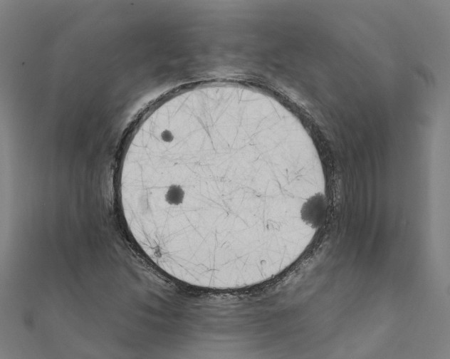 X0000111211214200908121125