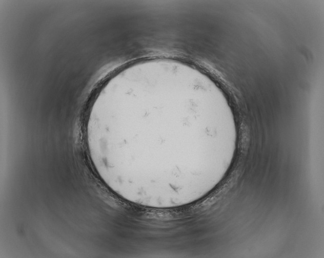 X0000111211215200908121125