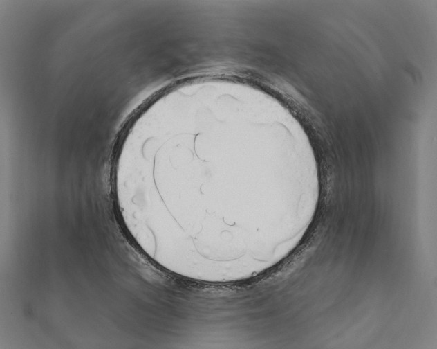 X0000111211216200908121125