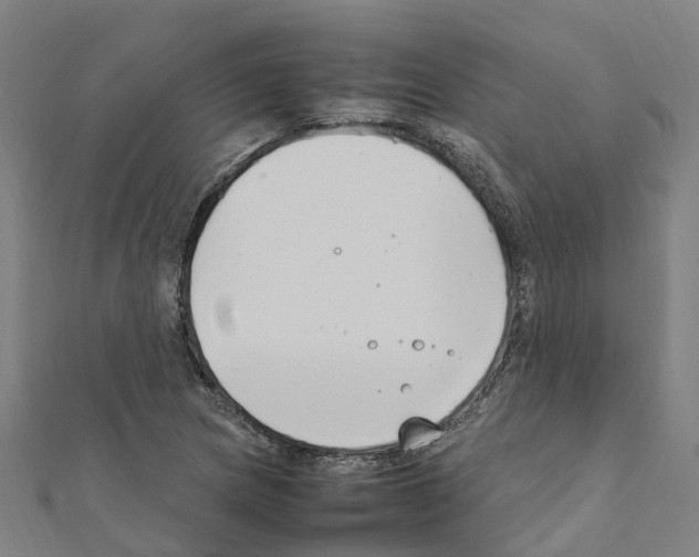 X0000111211217200908121125