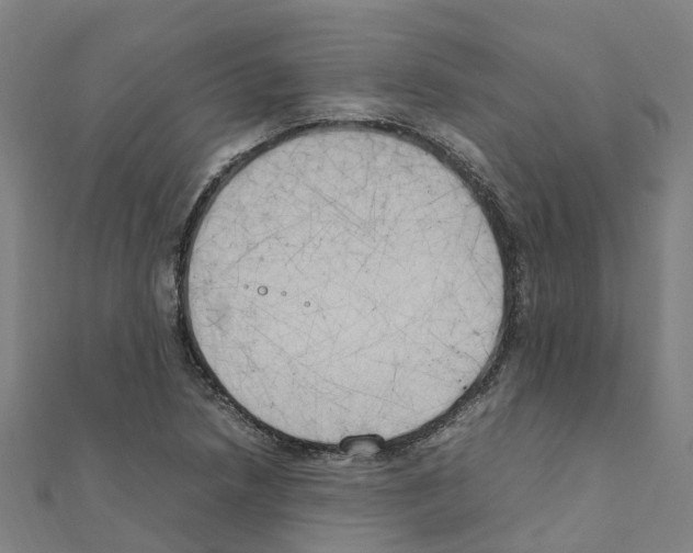 X0000111211218200908121125