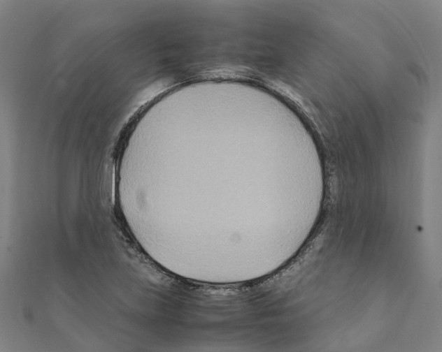 X0000111211219200908121125