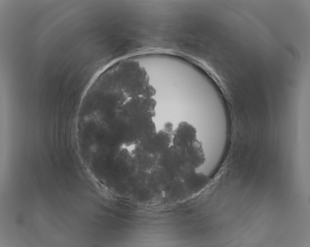 X0000111211220200908121125