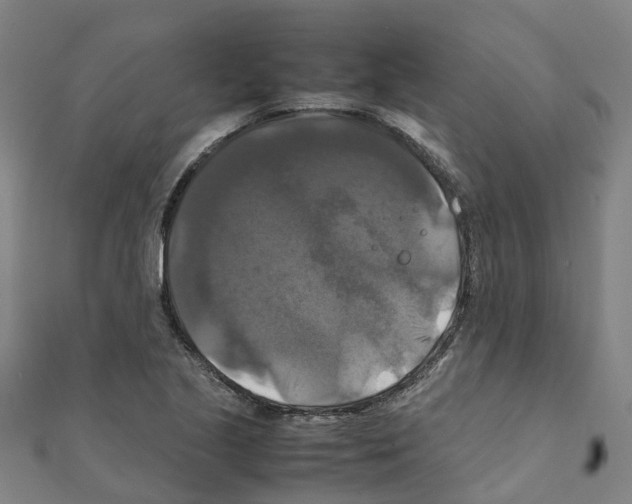 X0000111211221200908121125