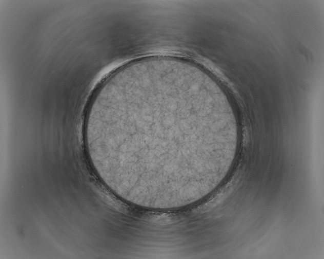 X0000111211222200908121125