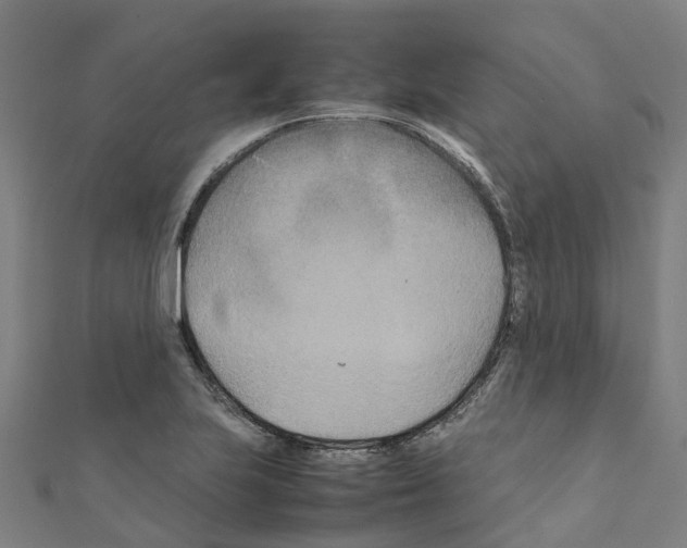 X0000111211223200908121125