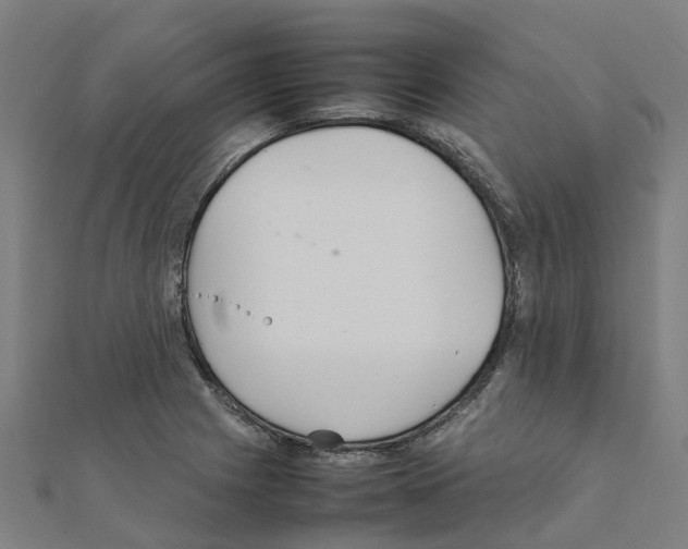 X0000111211225200908121125