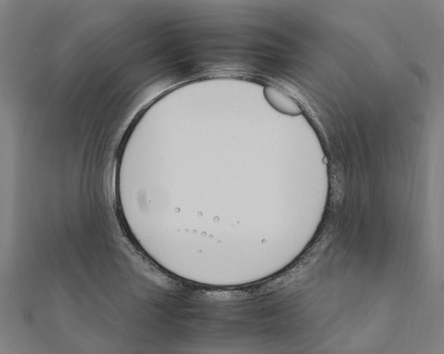 X0000111211227200908121125