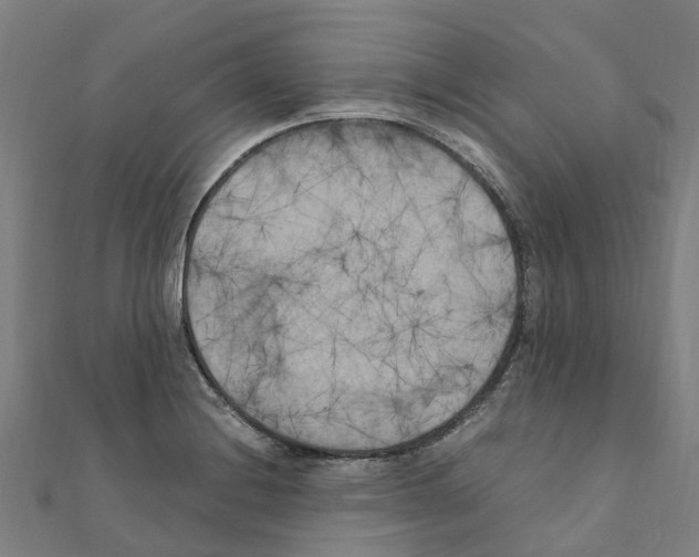 X0000111211228200908121125