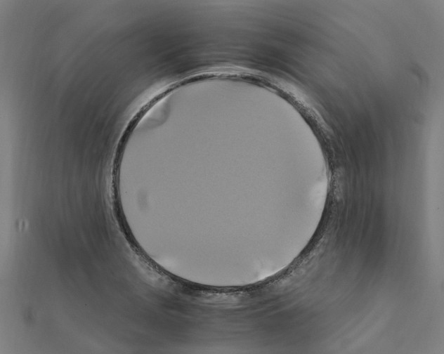 X0000111211229200908121125