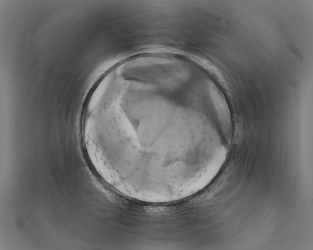 X0000111211231200908121125