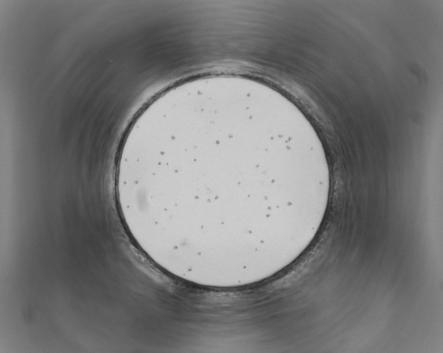 X0000111211232200908121125