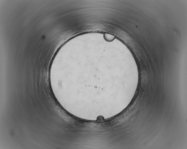 X0000111211234200908121125