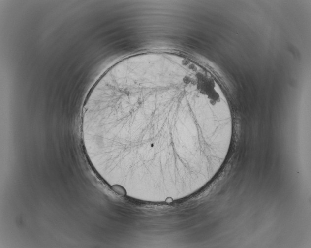 X0000111211236200908121125