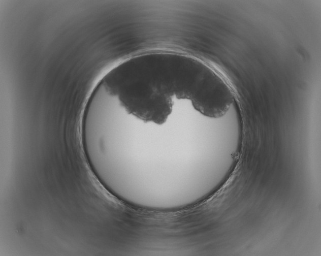 X0000111211238200908121125