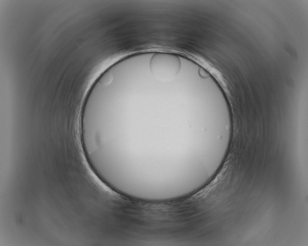 X0000111211239200908121125