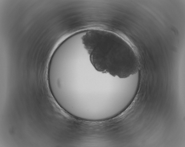 X0000111211240200908121125