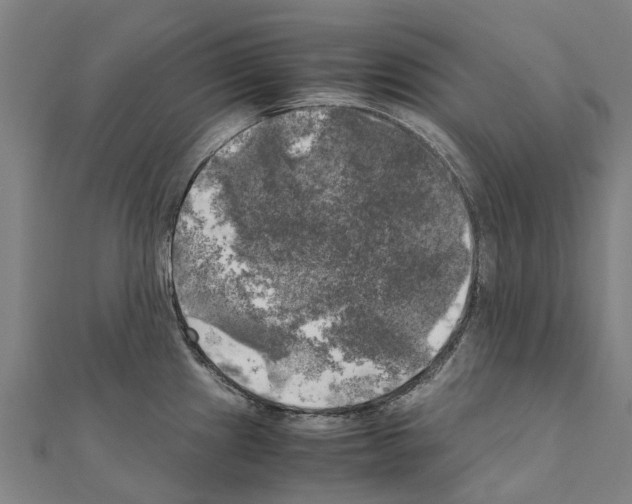 X0000111211241200908121125