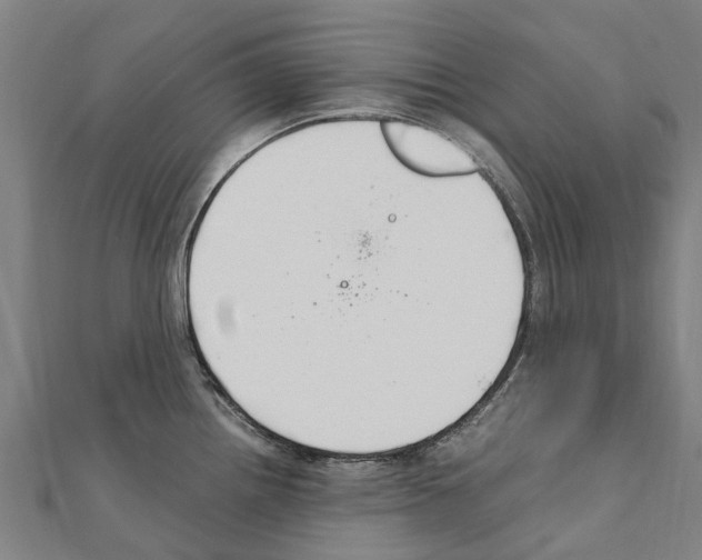 X0000111211242200908121125