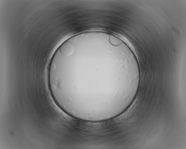 X0000111211243200908121125