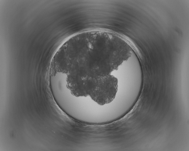 X0000111211244200908121125