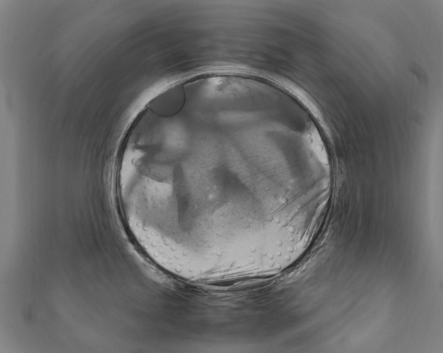 X0000111211245200908121125