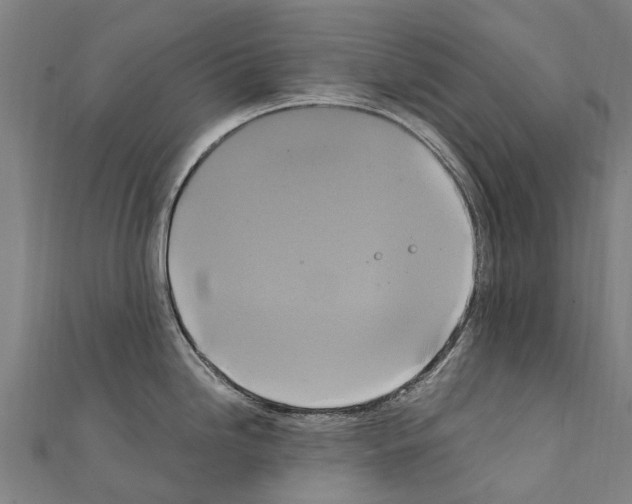 X0000111211246200908121125