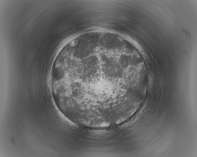 X0000111211247200908121125