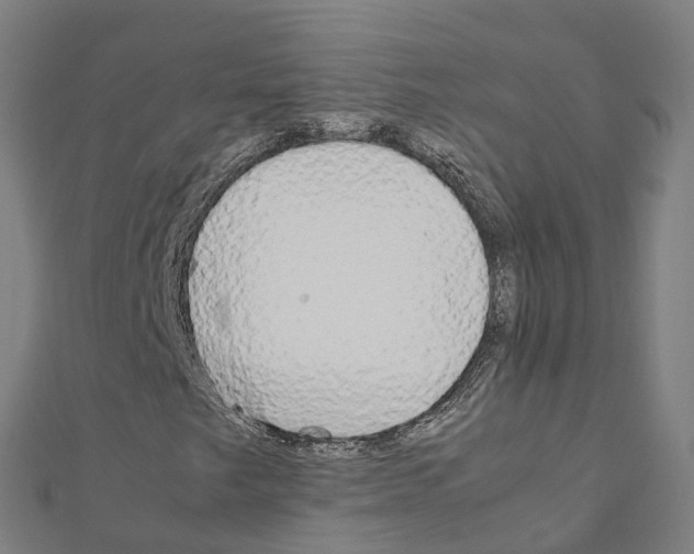 X0000111211249200908121124