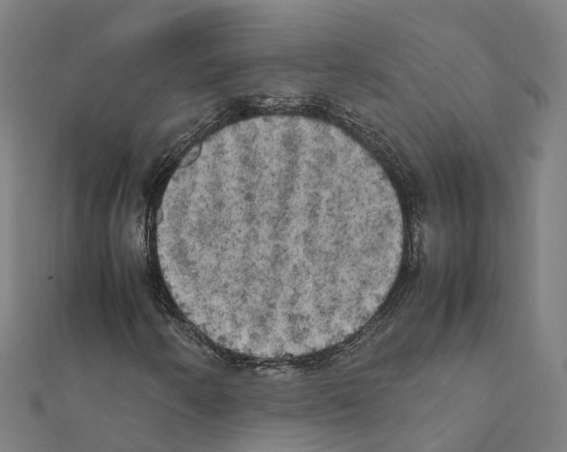 X0000111211250200908121124