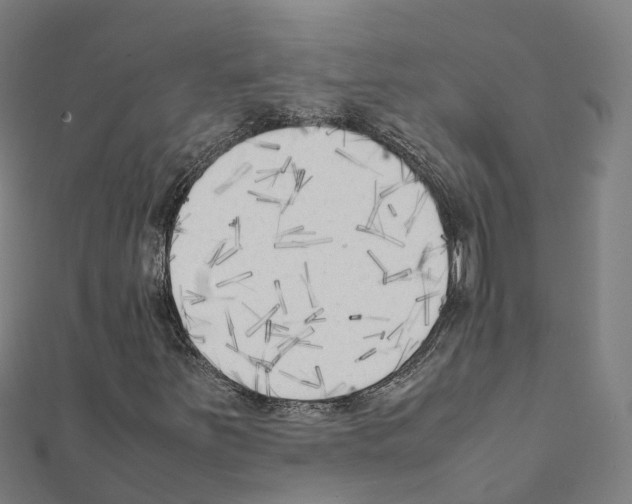 X0000111211251200908121124