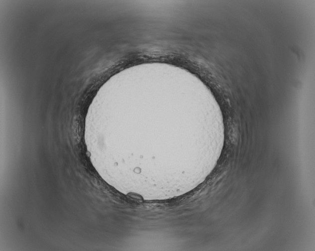 X0000111211253200908121124