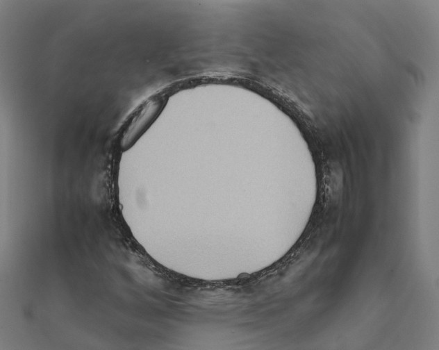 X0000111211256200908121124