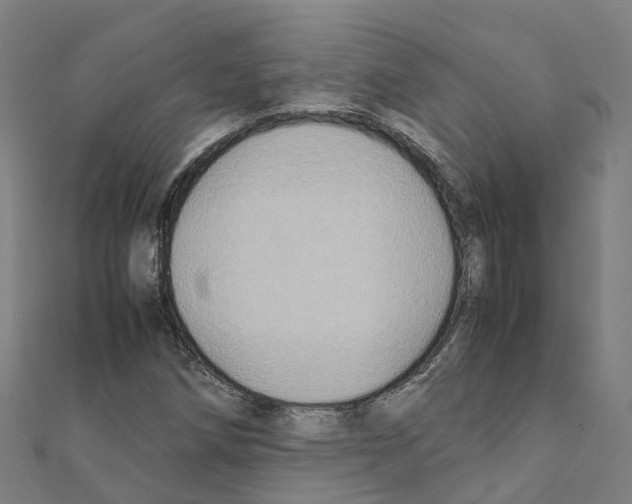 X0000111211258200908121124