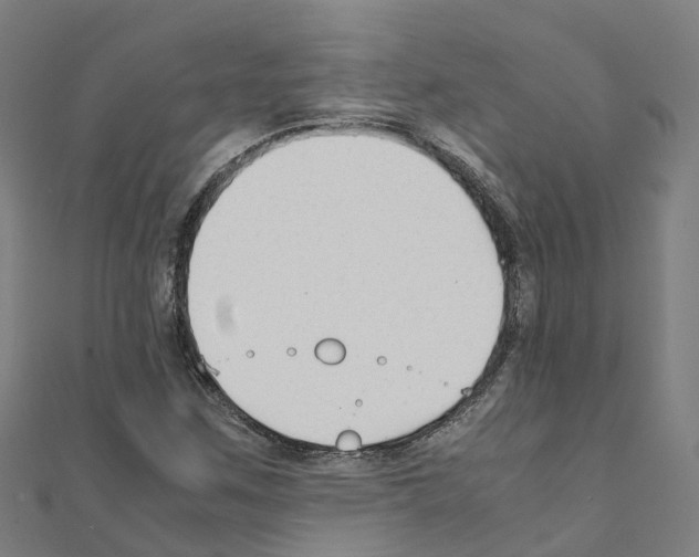 X0000111211259200908121124