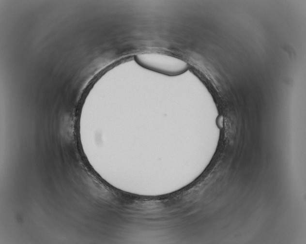 X0000111211260200908121124